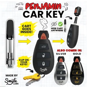 Penjamin - Car Key (Color al azar)